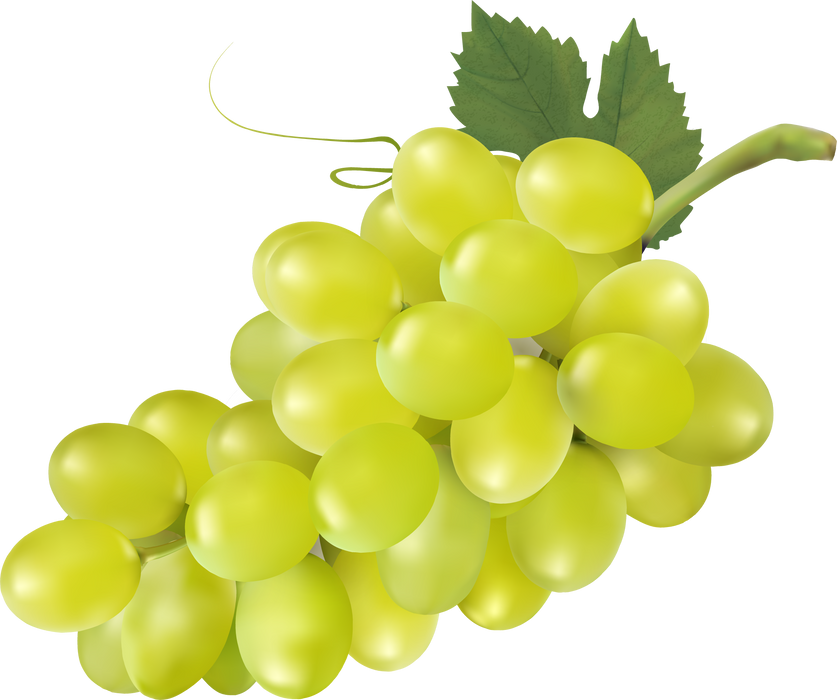 Bunch of Green Grapes Illustration